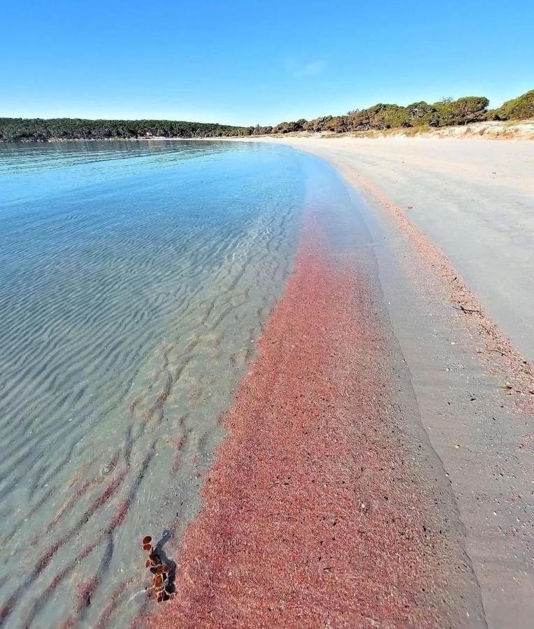 Вилла Fronte Mare Al Porticciolo Порто-Пино Экстерьер фото